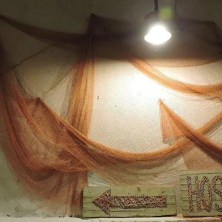 Marina * 트로기르